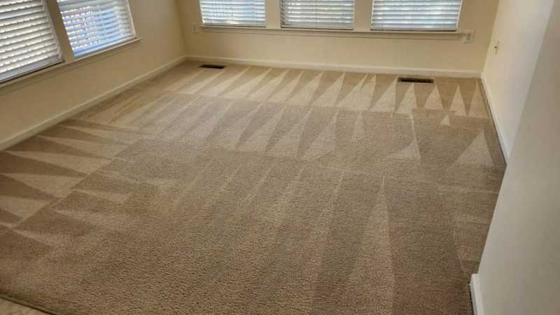 carpet cleaning in your area