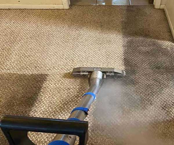 carpet cleaning maryland