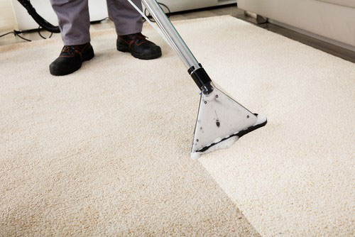 carpet cleaning pro