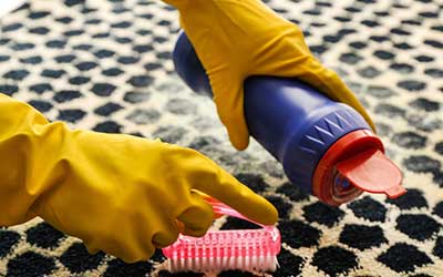 rug-cleaning-services-professional