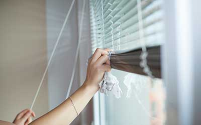 windows-cleaning-services